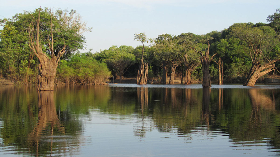 El ciclo del agua modifica el paisaje del río - Foto Ángel Cánovas