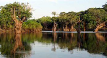 IGAPÓ: Viajar al Amazonas en verano