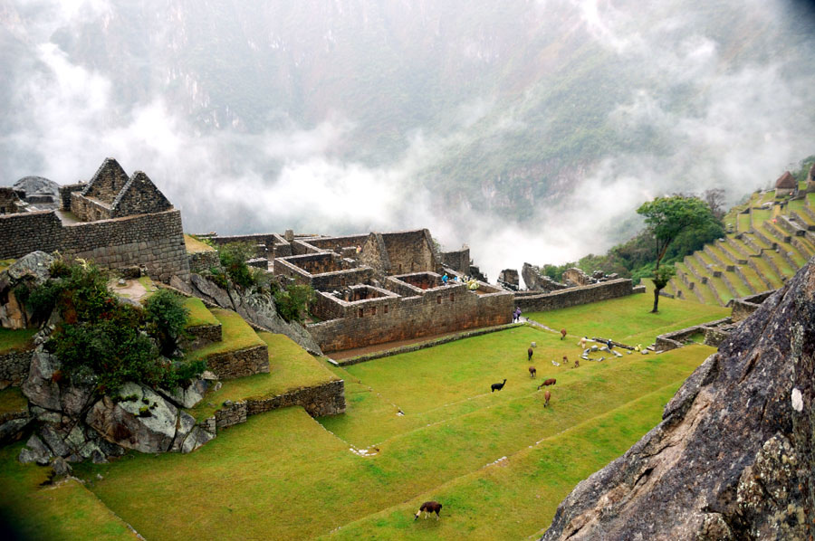 Terrazas del Machu Picchu | © Sergio Silva