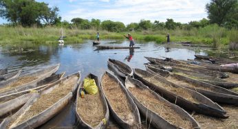 El Delta del Okavango: un lugar al que ir de viaje