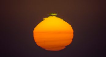 Cuando el sol desaparece… Gran eclipse de agosto 2017 en Estados Unidos
