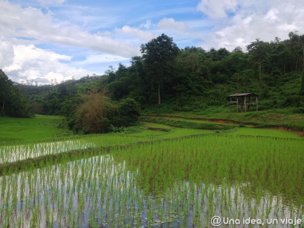 Campos de arroz en el norte de Tailandia | Foto © Una idea, un viaje
