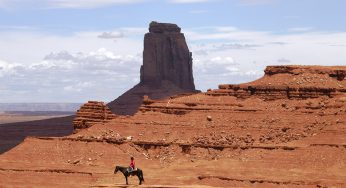 100 años de conservación y protección de los Parques Nacionales en Estados Unidos