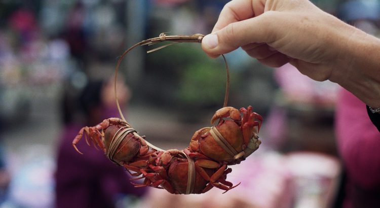 Cangrejos en un mercado local de Laos | Foto © Carme Bruch