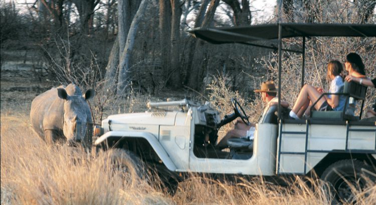 Encuentro con un rinoceronte en Zambia