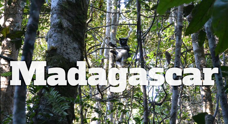 Salidas Agosto, Septiembre y Octubre > Viaje a Madagascar en grupo reducido