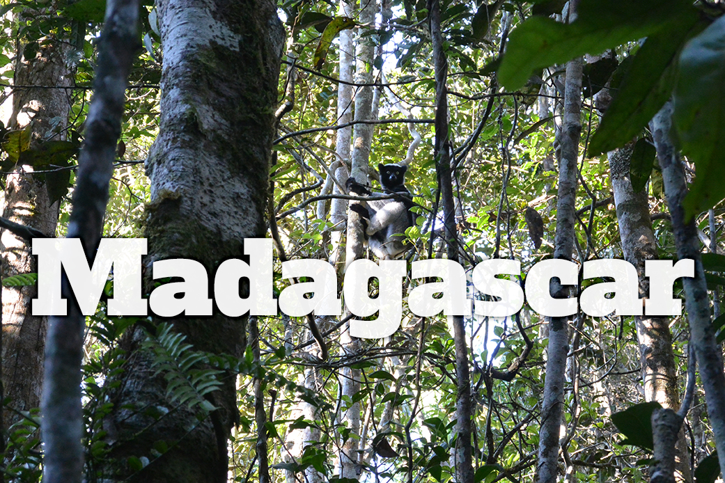 Salidas Agosto, Septiembre y Octubre > Viaje a Madagascar en grupo reducido