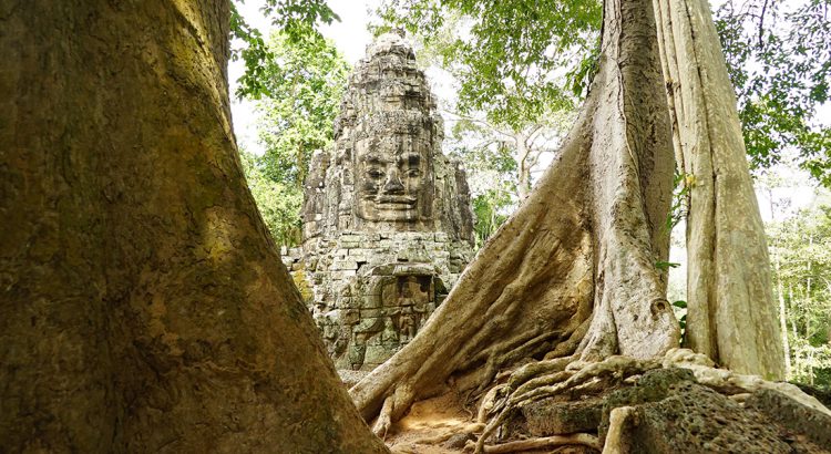Camboya, El vigía | Foto © Joan Mas