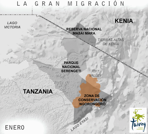 Kenia y Tanzania. La gran Migración - ViajesTuareg