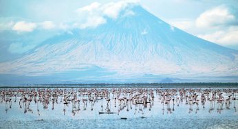 Safaris y aventuras en Tanzania | Viajes fin de año 2023