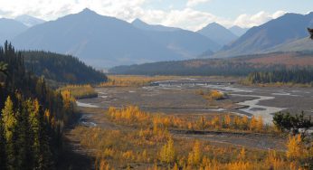 ¿Qué ver en Alaska en otoño?