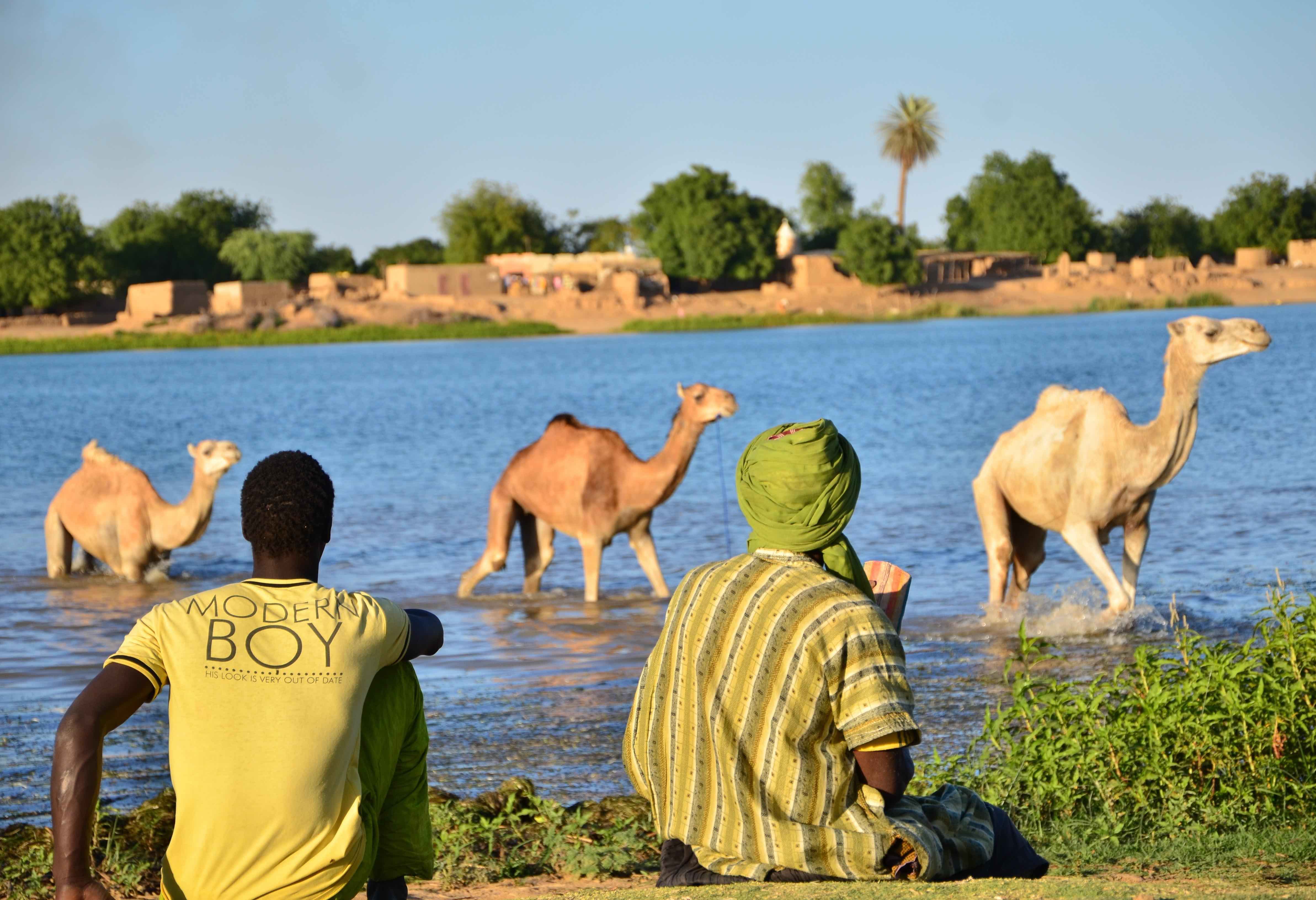 Viajes a Senegal. Imagen-->Gente. Autor Nondas Paschos