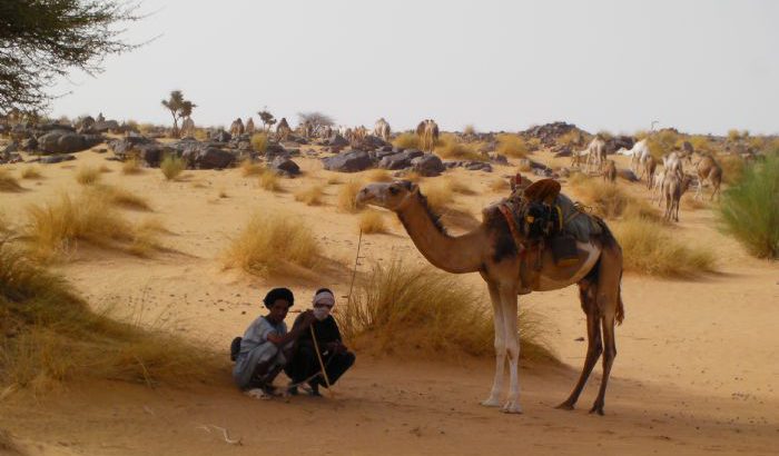 Viaje a Mauritania PASTORES EN LA SOMBRA Autor Mónica Sáez