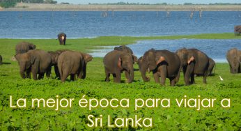 ¿Cuál es la mejor época para viajar a Sri Lanka?