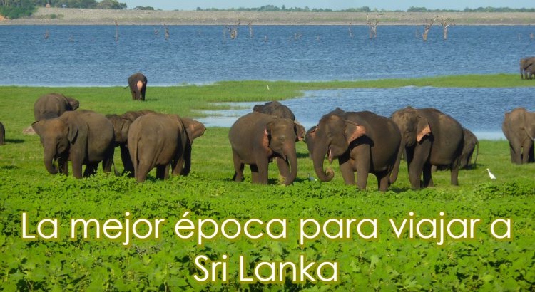 Mejor epoca para viajar a Sri Lanka