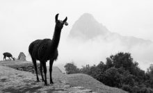 Machu Pichu en Perú - Autor archivo Tuareg