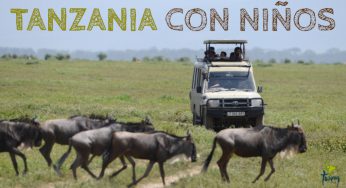 Viajar a Tanzania con niños