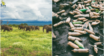 Tanzania prohíbe la entrada de plásticos al país