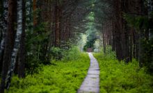 Caminatas por los desconocidos rincones de los países bálticos