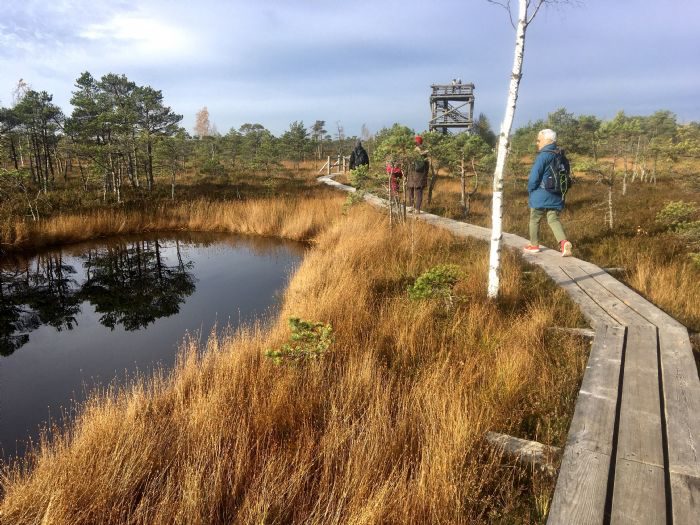 Viaje a Letonia | Autor Silvia Marcó
