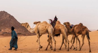 ¿Cuándo viajar al desierto? Mejor época para viajar al Sáhara