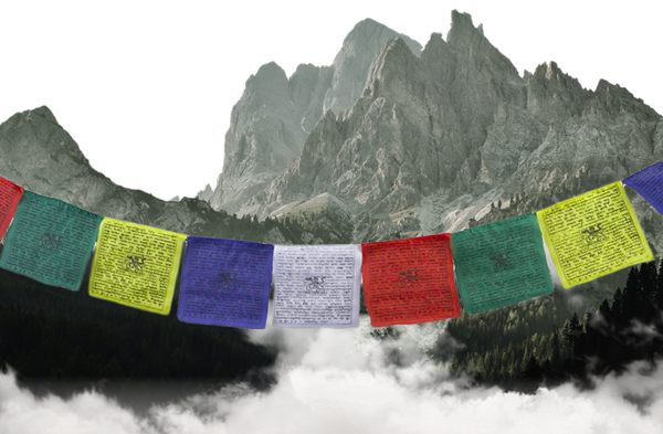 Viajes Annapurnas vs. Everest Viajes Annapurnas vs. Everest