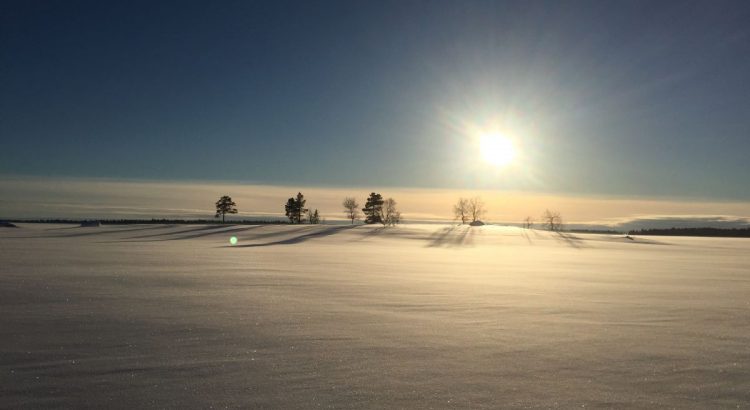 Ricardo López Valverde